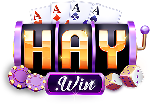 Haywin Logo